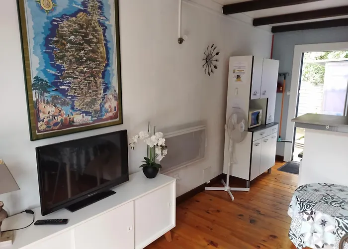 Agreable 100 M De La *